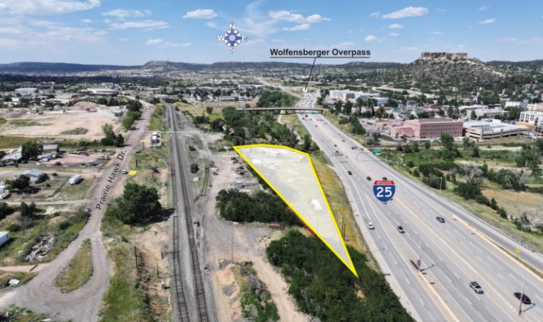 Castle Rock Fenced Yard For Sale