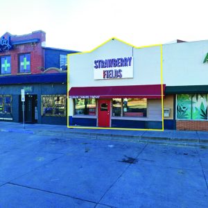 Single Tenant Investment Property or Owner/User