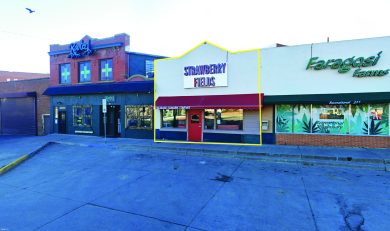 Single Tenant Investment Property or Owner/User